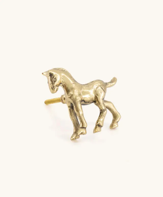 Doing Goods Cheval Spirit Droite Schrankknopf Messing