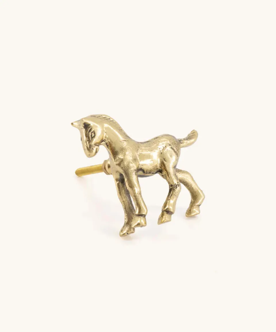 Doing Goods Cheval Spirit Droite Schrankknopf Messing