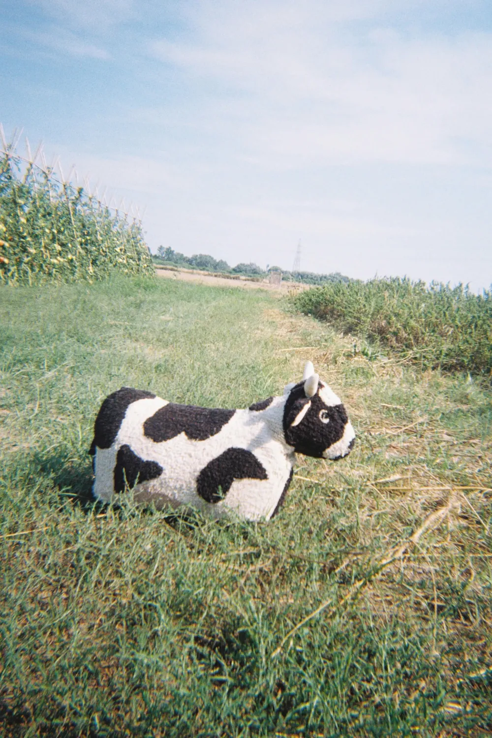 Lorena Canals Lola the Cow Pouf 60x40 cm Kuh
