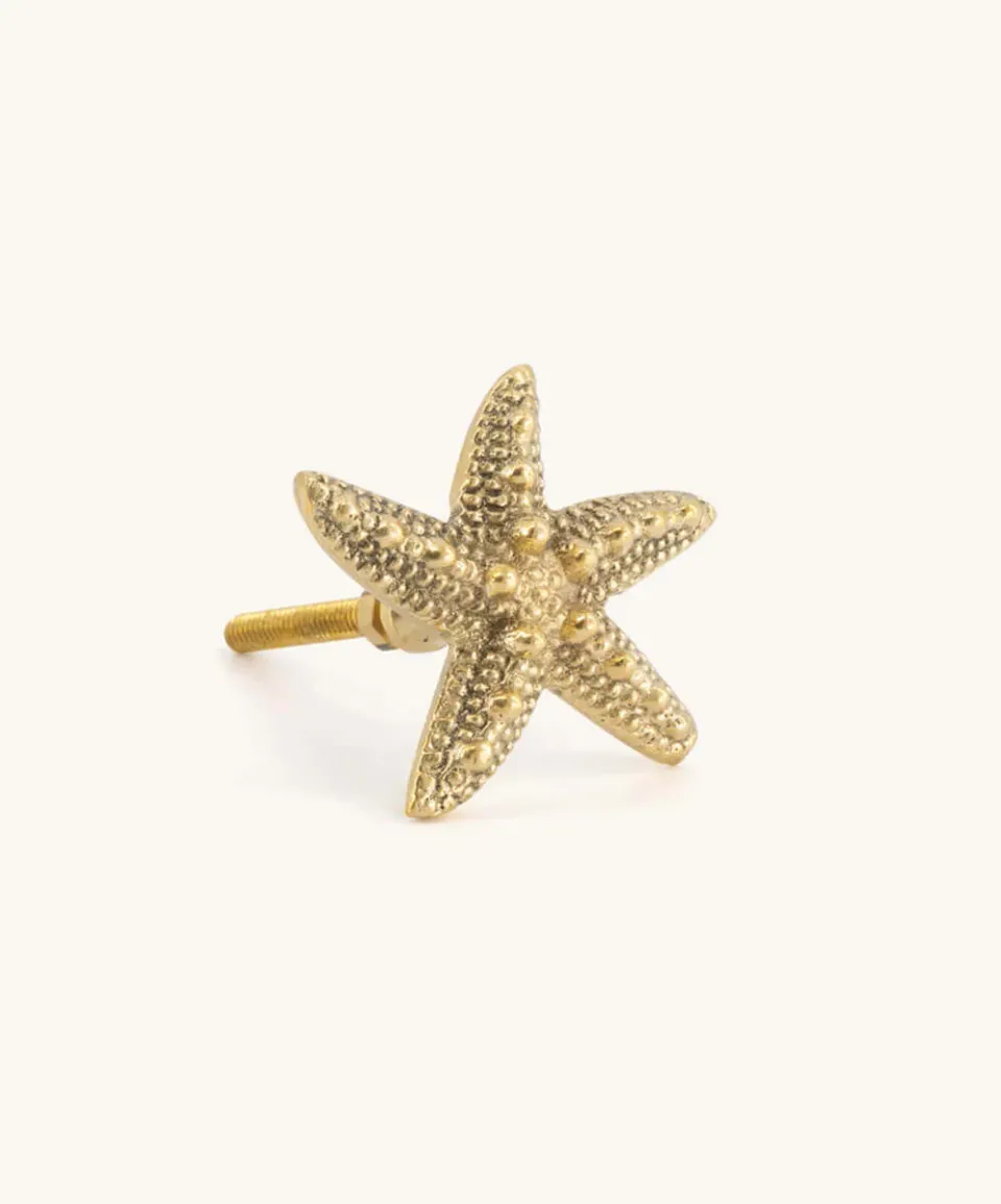Doing Goods Ruby Seastar Möbelknopf Messing