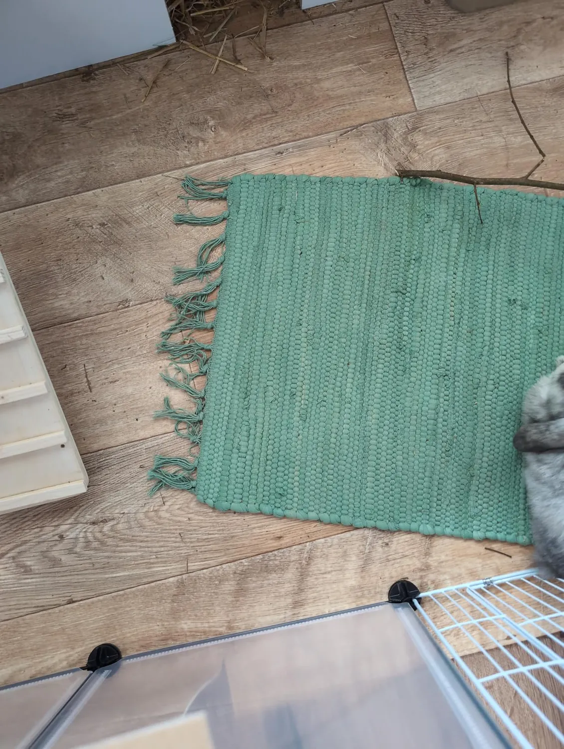 THEKO Happy Cotton Teppich 40x60 cm Mint Baumwolle