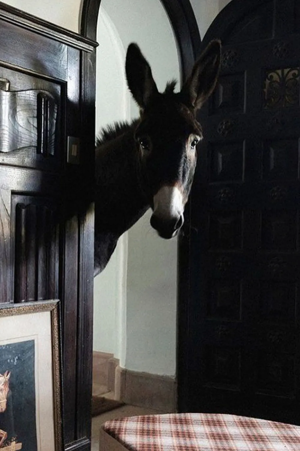 Lorena Canals Hector the Donkey Korb 57x25x30 cm Wolle